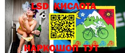 амф Дубна