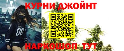 амф Дубна