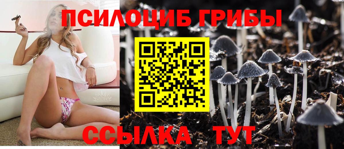 Горно-Алтайск  Галлюциногенные грибы GOLDEN TEACHER  Вход с VPN  Галлюциногенные грибы ЛСД 